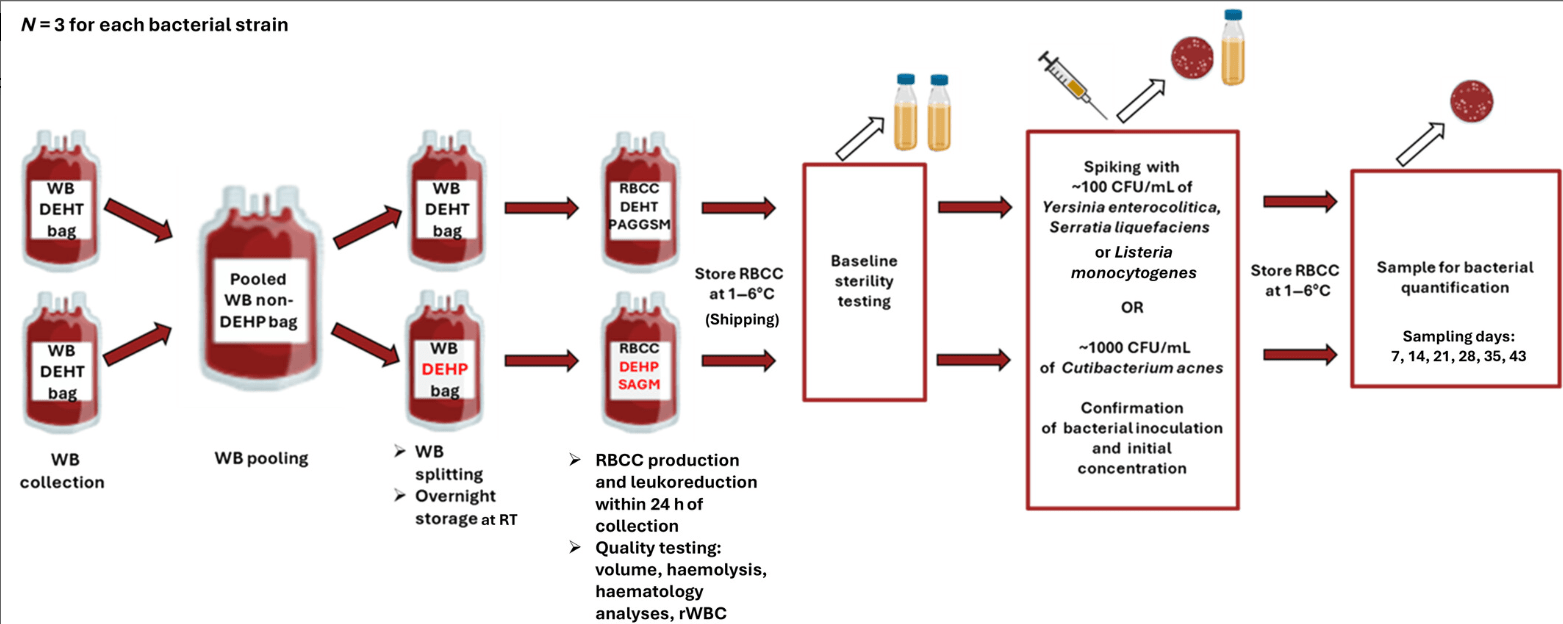 describes the experimental approach followed in this study in a schéma